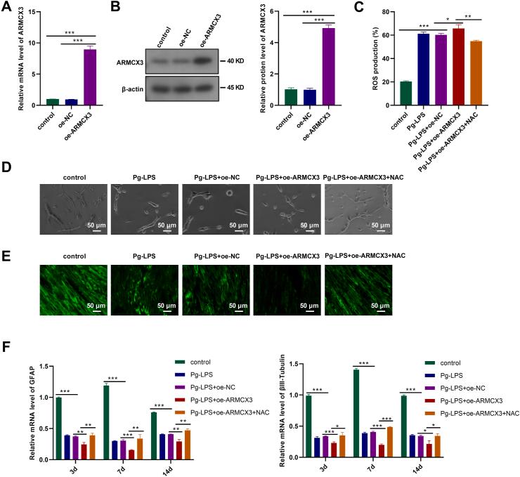 https://cdn.ncbi.nlm.nih.gov/pmc/blobs/bef2/11407977/144d8210eec5/gr4.jpg