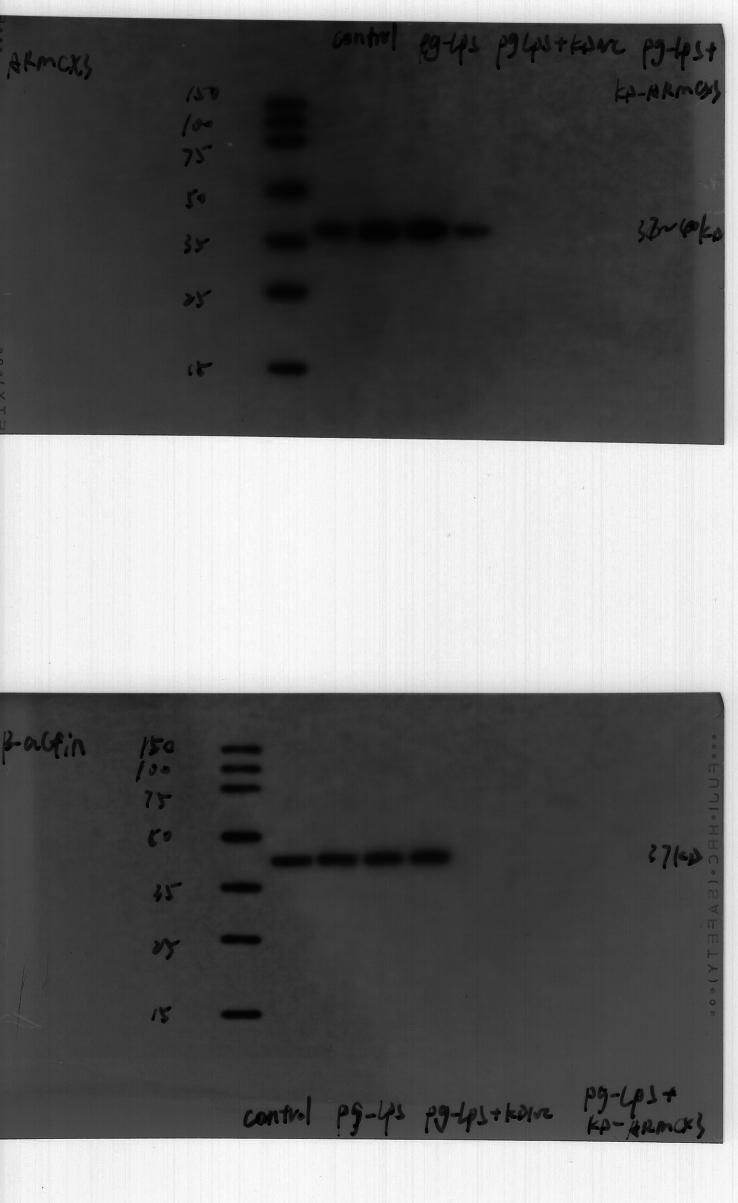 https://cdn.ncbi.nlm.nih.gov/pmc/blobs/bef2/11407977/9650fa541322/mmcfigs3.jpg