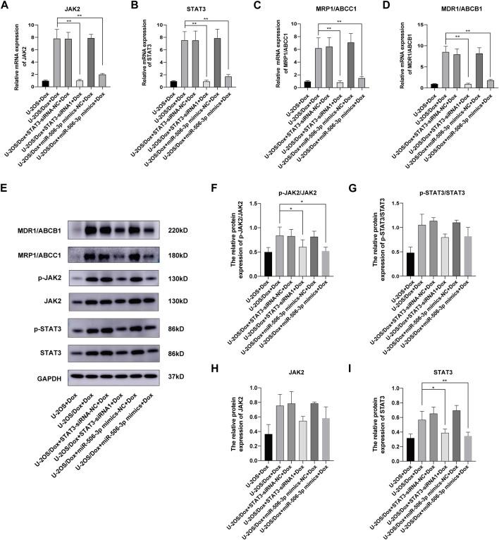 https://cdn.ncbi.nlm.nih.gov/pmc/blobs/bef3/10899521/be8fe9ff5fc2/fphar-15-1303732-g012.jpg