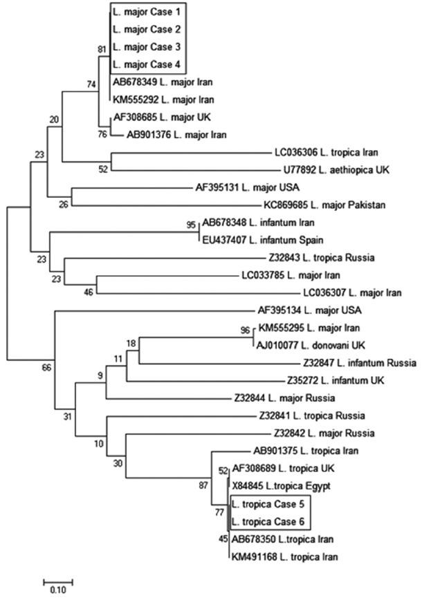https://cdn.ncbi.nlm.nih.gov/pmc/blobs/bef4/5266367/50c1cf986b0f/kjp-54-6-787f4.jpg