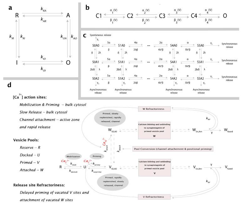 https://cdn.ncbi.nlm.nih.gov/pmc/blobs/bef6/9315668/d6cb7b1eff77/cells-11-02167-g002.jpg