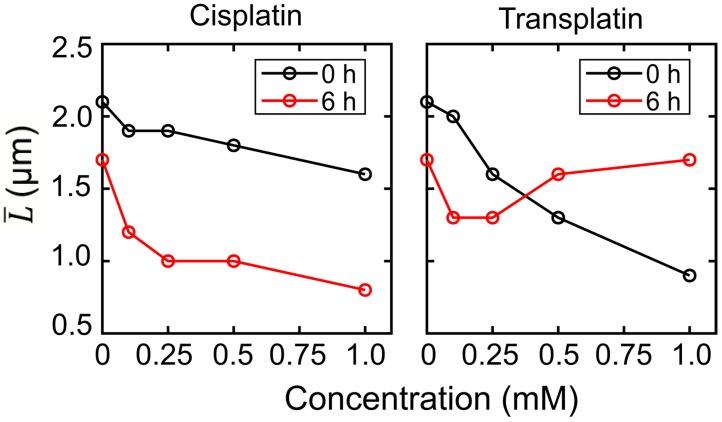 https://cdn.ncbi.nlm.nih.gov/pmc/blobs/bef7/6981875/ab045231dc5d/ijms-21-00034-g005.jpg