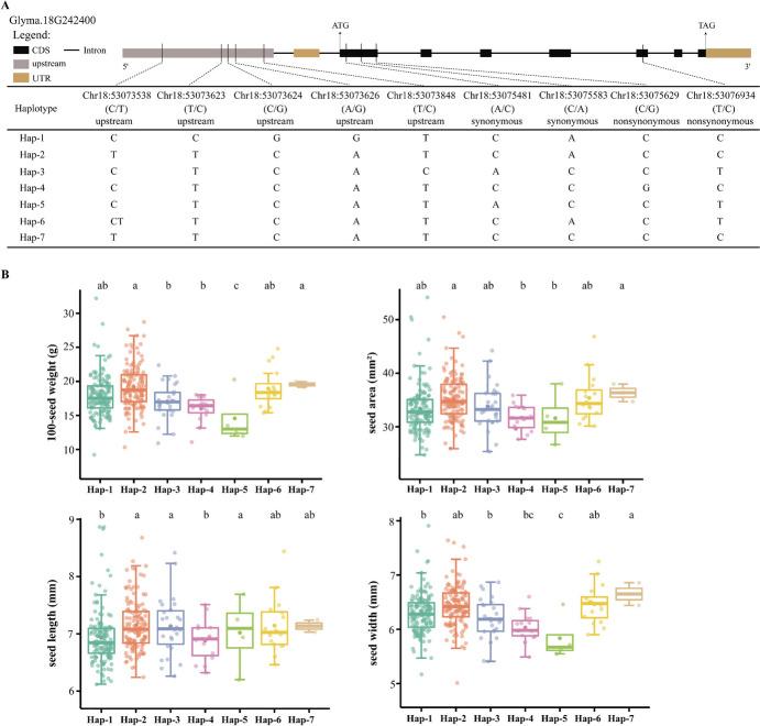 https://cdn.ncbi.nlm.nih.gov/pmc/blobs/bef9/11663835/623362f9dece/11032_2024_1525_Fig8_HTML.jpg
