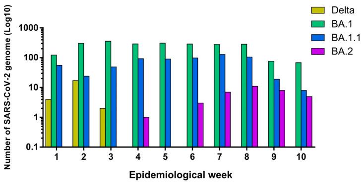 https://cdn.ncbi.nlm.nih.gov/pmc/blobs/befc/10974166/7f85d8cb757e/microorganisms-12-00449-g004.jpg