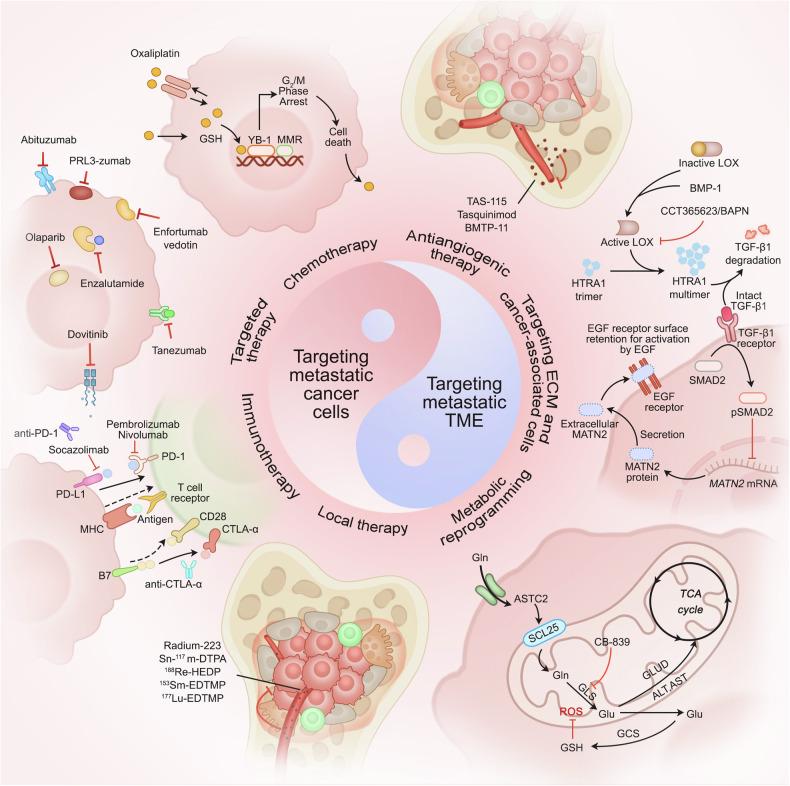 https://cdn.ncbi.nlm.nih.gov/pmc/blobs/befc/11842613/b8f6808dd658/41392_2025_2148_Fig4_HTML.jpg