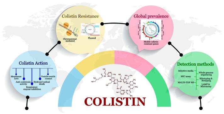https://cdn.ncbi.nlm.nih.gov/pmc/blobs/befe/11051878/dbb5c83be5ad/microorganisms-12-00772-g003.jpg