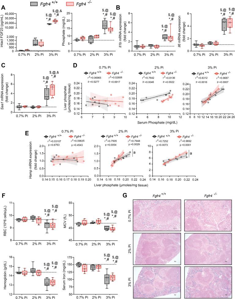 https://cdn.ncbi.nlm.nih.gov/pmc/blobs/beff/8963881/ac5d73116cdc/elife-74782-fig2.jpg