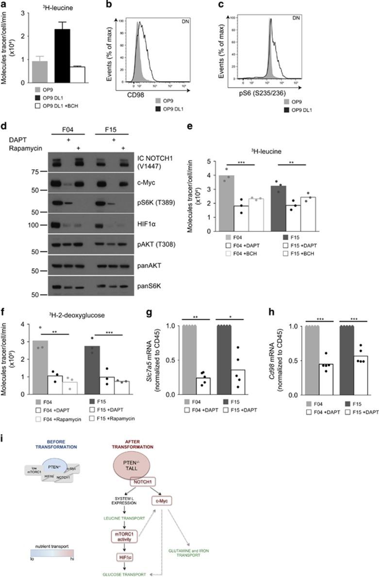 https://cdn.ncbi.nlm.nih.gov/pmc/blobs/bf00/5729345/a39689ecd068/leu2017160f5.jpg