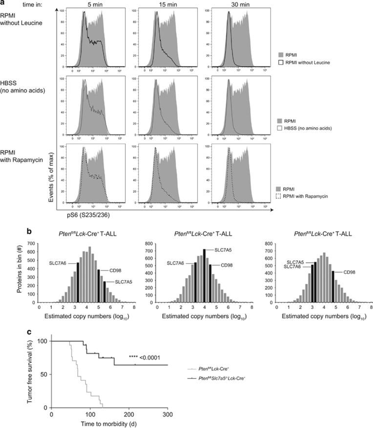 https://cdn.ncbi.nlm.nih.gov/pmc/blobs/bf00/5729345/edff45a43c17/leu2017160f4.jpg