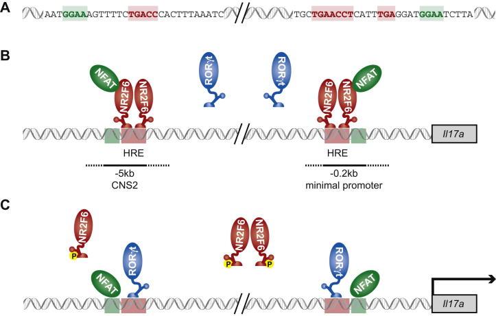 https://cdn.ncbi.nlm.nih.gov/pmc/blobs/bf01/3516707/60dd45d2ebe5/gr8.jpg