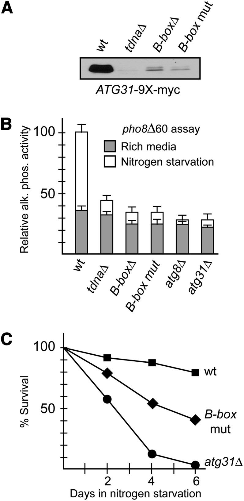 https://cdn.ncbi.nlm.nih.gov/pmc/blobs/bf01/3914616/5c59fd9bfc58/427fig5.jpg