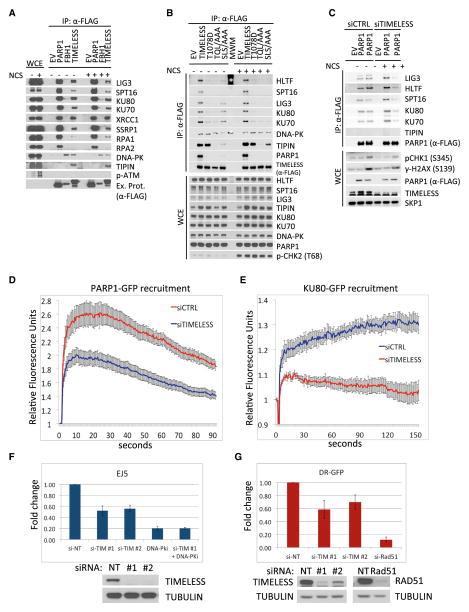 https://cdn.ncbi.nlm.nih.gov/pmc/blobs/bf02/4618055/652764d7b26c/nihms722509f4.jpg