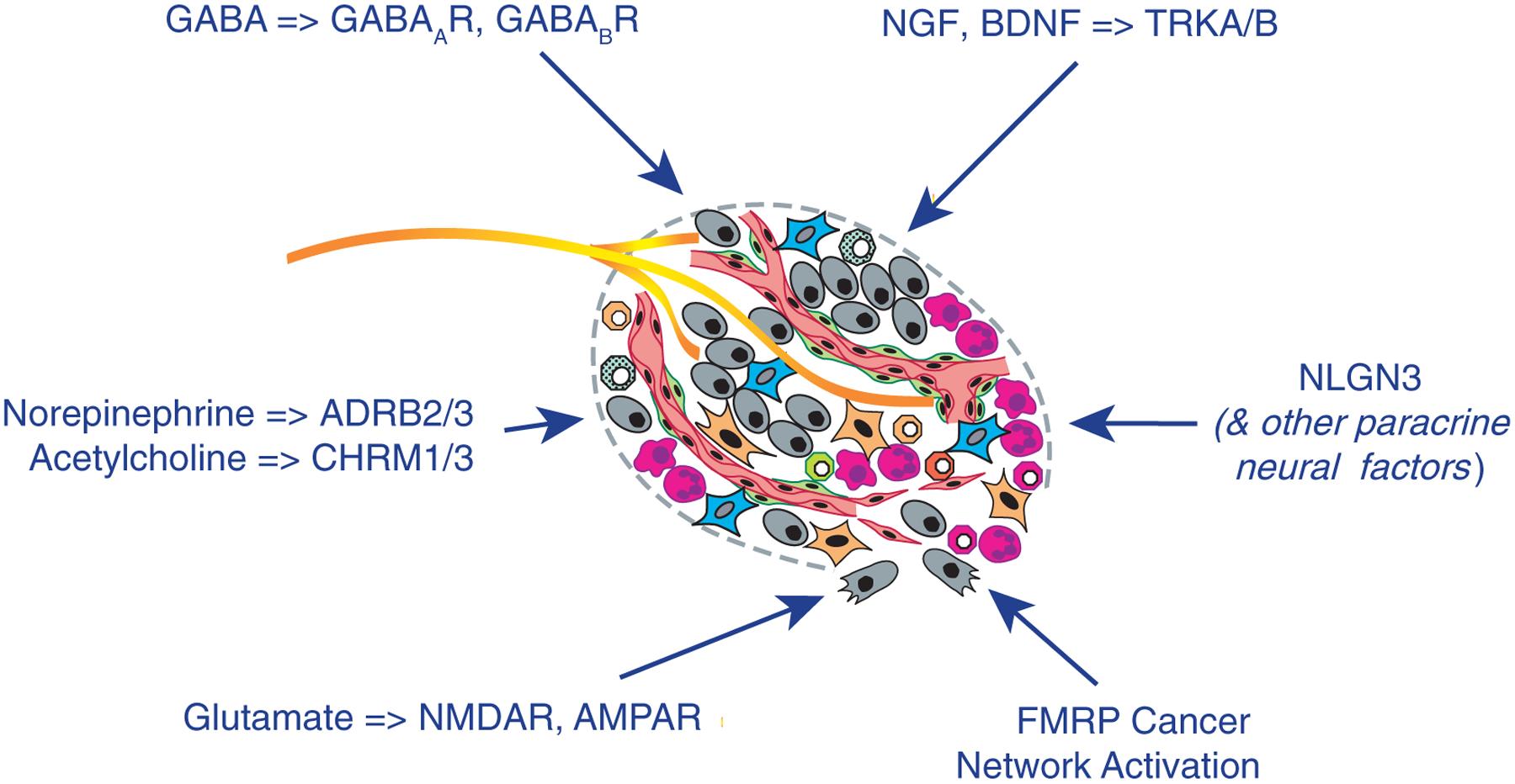 https://cdn.ncbi.nlm.nih.gov/pmc/blobs/bf05/10202656/a5b35b7ba902/nihms-1900749-f0002.jpg