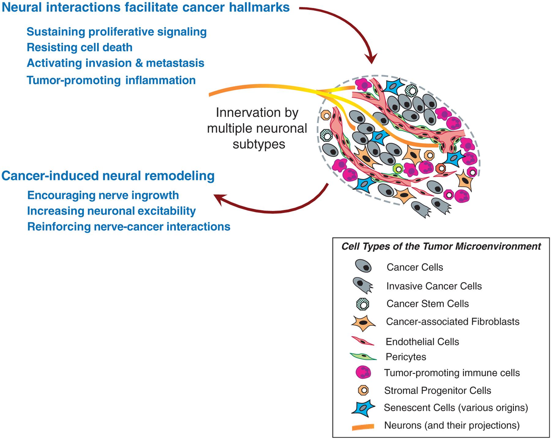https://cdn.ncbi.nlm.nih.gov/pmc/blobs/bf05/10202656/fff89d6f60fd/nihms-1900749-f0001.jpg