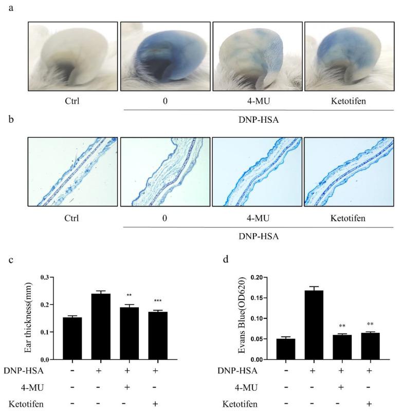 https://cdn.ncbi.nlm.nih.gov/pmc/blobs/bf06/8912031/851d44c39e3e/molecules-27-01577-g005.jpg