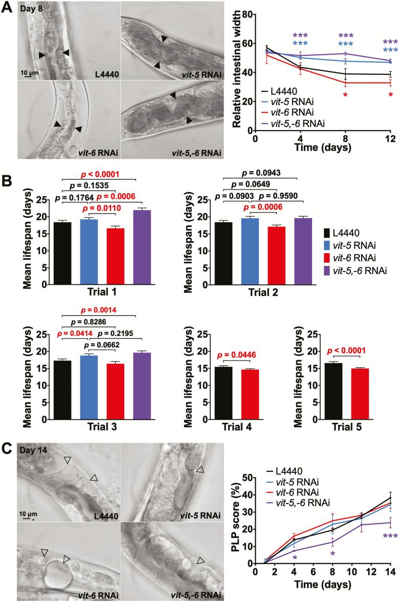 https://cdn.ncbi.nlm.nih.gov/pmc/blobs/bf09/6625598/1471b222c71b/glz067f0004.jpg