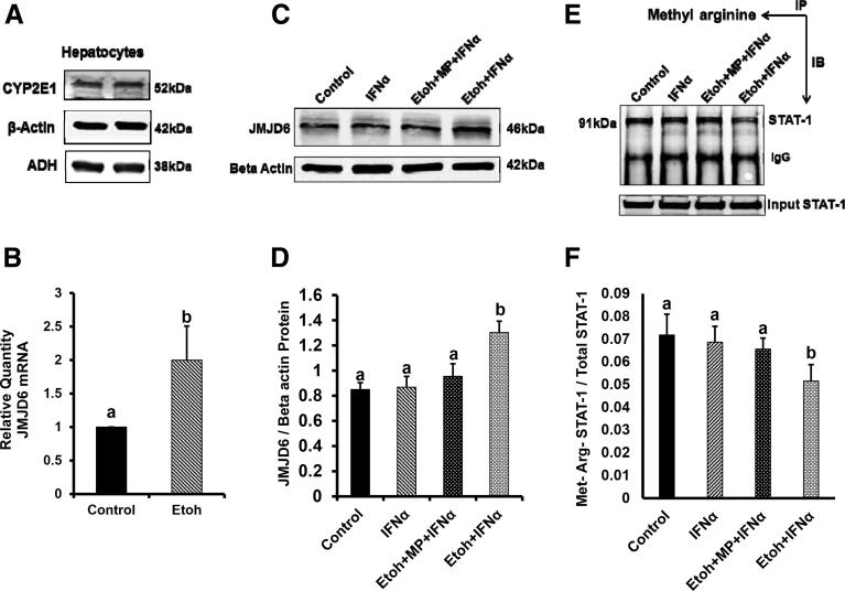 https://cdn.ncbi.nlm.nih.gov/pmc/blobs/bf0a/5904050/06289b656d26/gr5.jpg