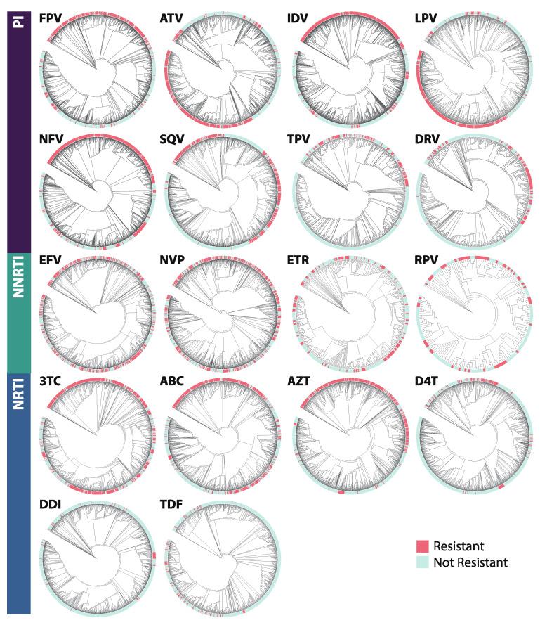 https://cdn.ncbi.nlm.nih.gov/pmc/blobs/bf0b/7290575/151d4de186db/viruses-12-00560-g009.jpg