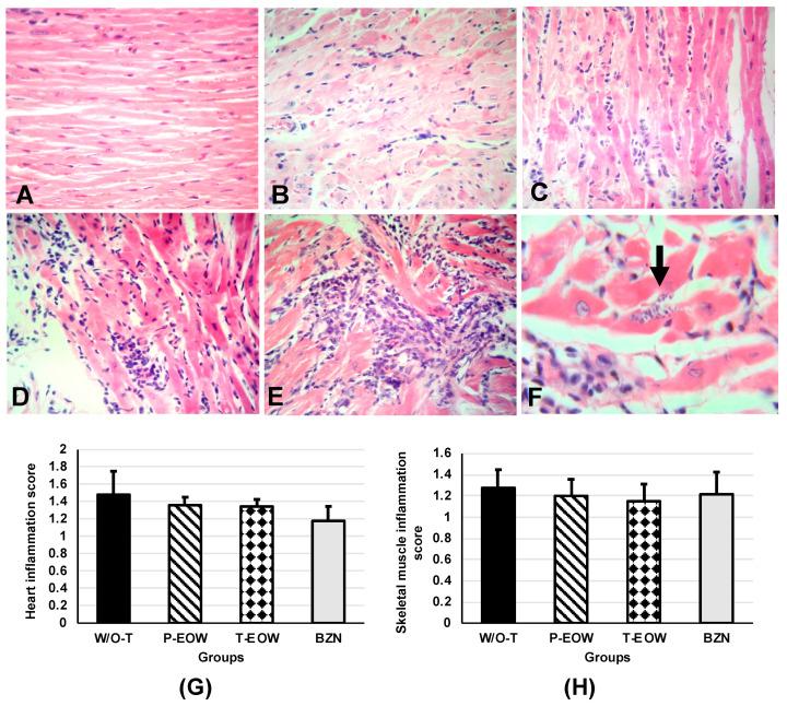 https://cdn.ncbi.nlm.nih.gov/pmc/blobs/bf0c/7700191/9530ffc5feab/pathogens-09-00974-g006.jpg