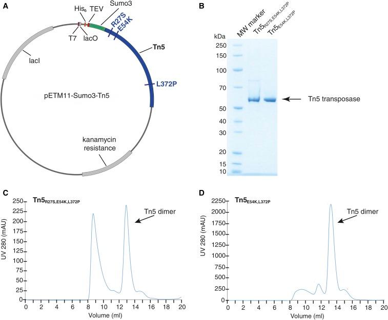 https://cdn.ncbi.nlm.nih.gov/pmc/blobs/bf0e/5765368/7e837708b808/79f1.jpg