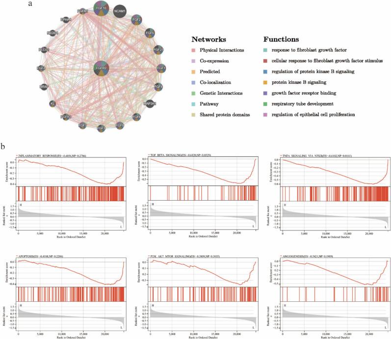 https://cdn.ncbi.nlm.nih.gov/pmc/blobs/bf10/12344841/0f180ae4ce79/40001_2025_3012_Fig6_HTML.jpg