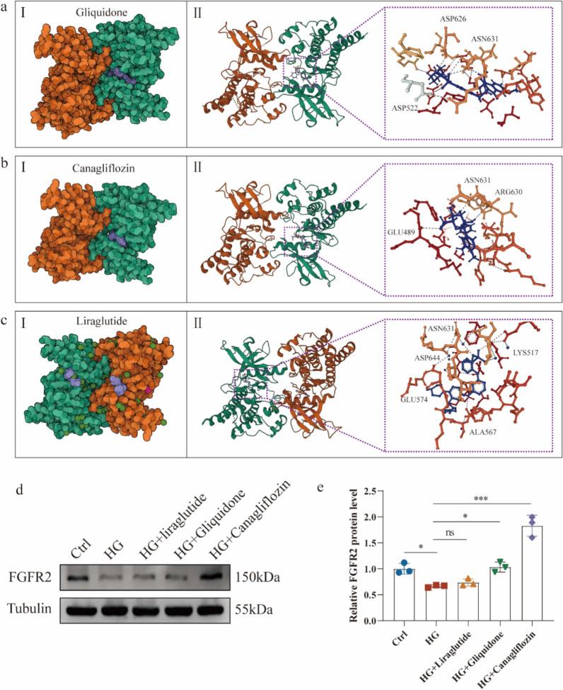 https://cdn.ncbi.nlm.nih.gov/pmc/blobs/bf10/12344841/4cd2f3ed9c19/40001_2025_3012_Fig8_HTML.jpg