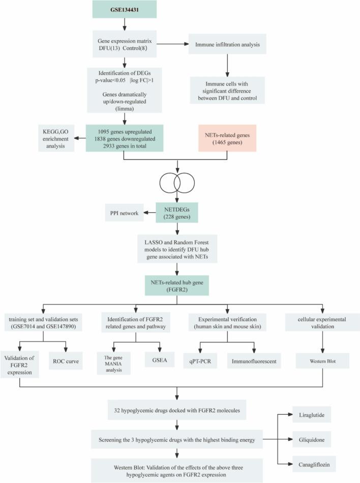 https://cdn.ncbi.nlm.nih.gov/pmc/blobs/bf10/12344841/ba80f19a1339/40001_2025_3012_Fig1_HTML.jpg