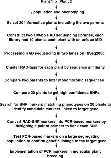 https://cdn.ncbi.nlm.nih.gov/pmc/blobs/bf10/3430595/df7994fbbbec/1471-2164-13-318-1.jpg