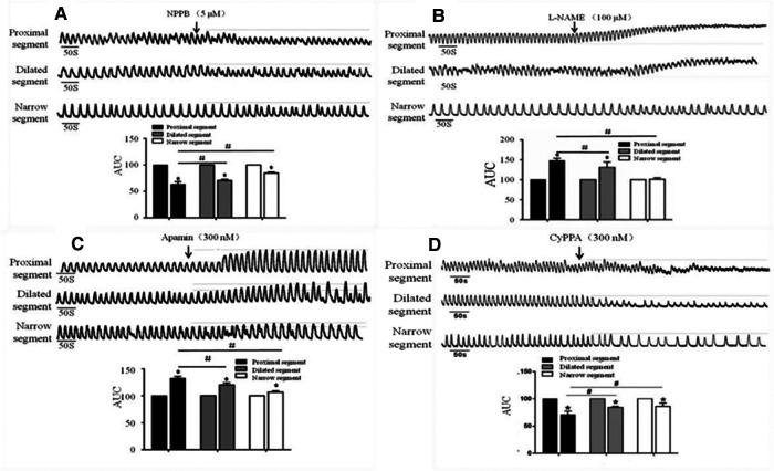 https://cdn.ncbi.nlm.nih.gov/pmc/blobs/bf11/9869412/1a604e186e0b/fped-10-975799-g005.jpg
