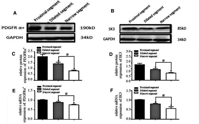 https://cdn.ncbi.nlm.nih.gov/pmc/blobs/bf11/9869412/99c0aaf90894/fped-10-975799-g002.jpg