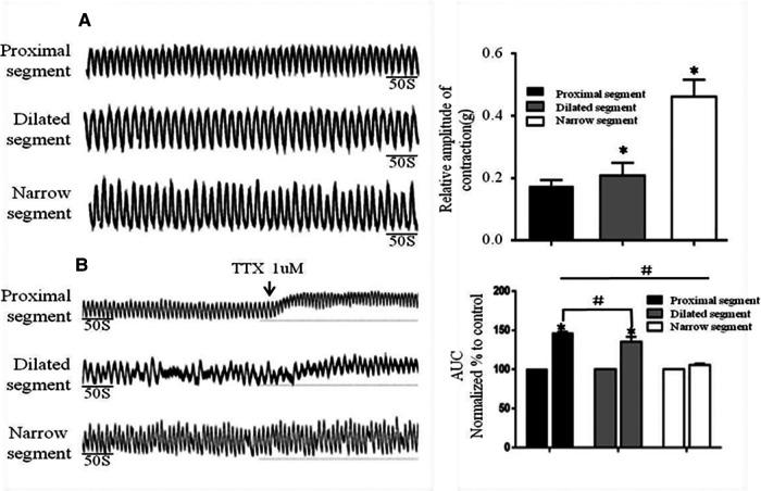 https://cdn.ncbi.nlm.nih.gov/pmc/blobs/bf11/9869412/abc5f2ddbdee/fped-10-975799-g003.jpg