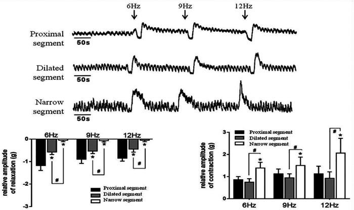 https://cdn.ncbi.nlm.nih.gov/pmc/blobs/bf11/9869412/b29edfe6e367/fped-10-975799-g004.jpg