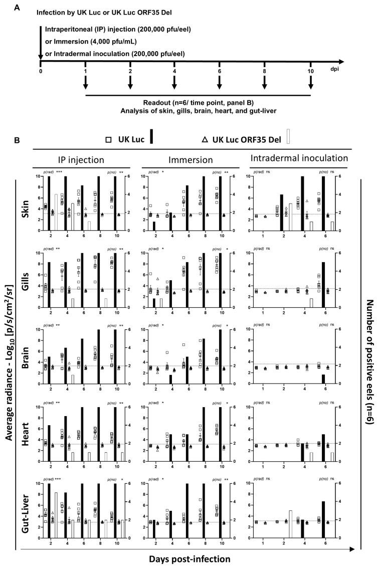 https://cdn.ncbi.nlm.nih.gov/pmc/blobs/bf13/11728778/b02a9fafff77/vaccines-12-01423-g003a.jpg