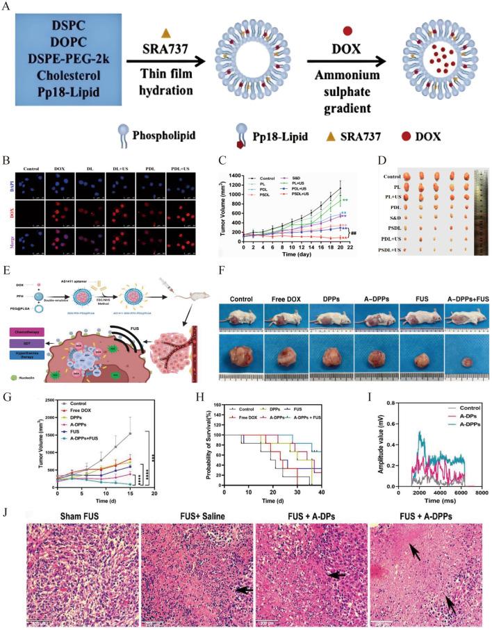 https://cdn.ncbi.nlm.nih.gov/pmc/blobs/bf13/11978163/a8b50bd01760/12951_2025_3311_Fig6_HTML.jpg
