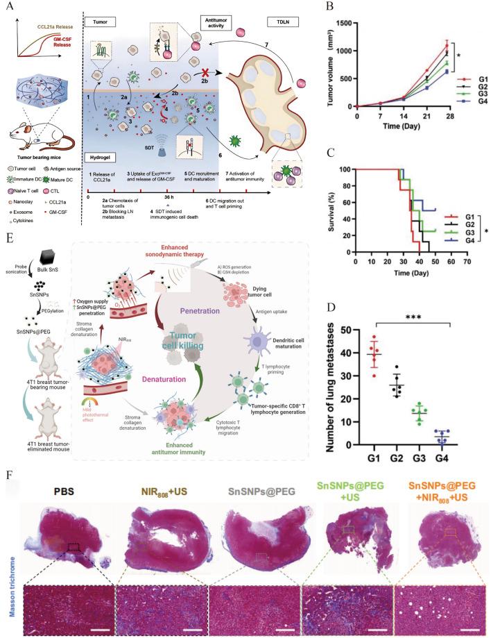 https://cdn.ncbi.nlm.nih.gov/pmc/blobs/bf13/11978163/dffbaf56b3e5/12951_2025_3311_Fig7_HTML.jpg