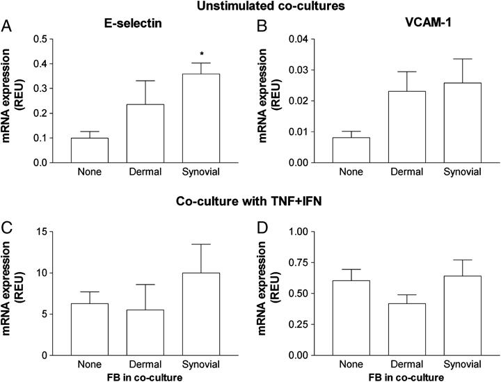 https://cdn.ncbi.nlm.nih.gov/pmc/blobs/bf13/3149130/6187b60a7214/eji0039-0113-f3.jpg