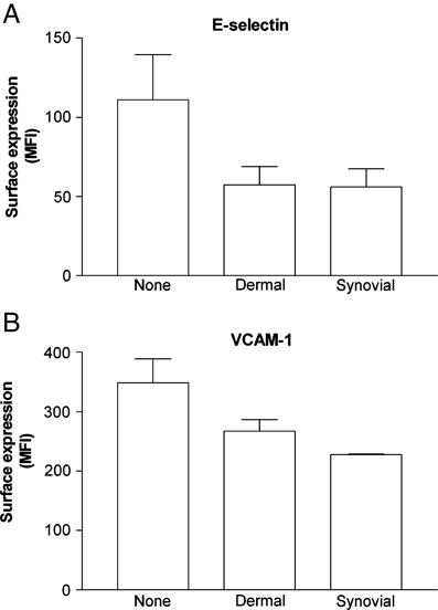 https://cdn.ncbi.nlm.nih.gov/pmc/blobs/bf13/3149130/f5c15a89a422/eji0039-0113-f4.jpg