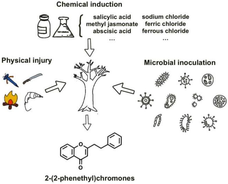https://cdn.ncbi.nlm.nih.gov/pmc/blobs/bf14/11990096/aaf40394c735/plants-14-01012-g002.jpg