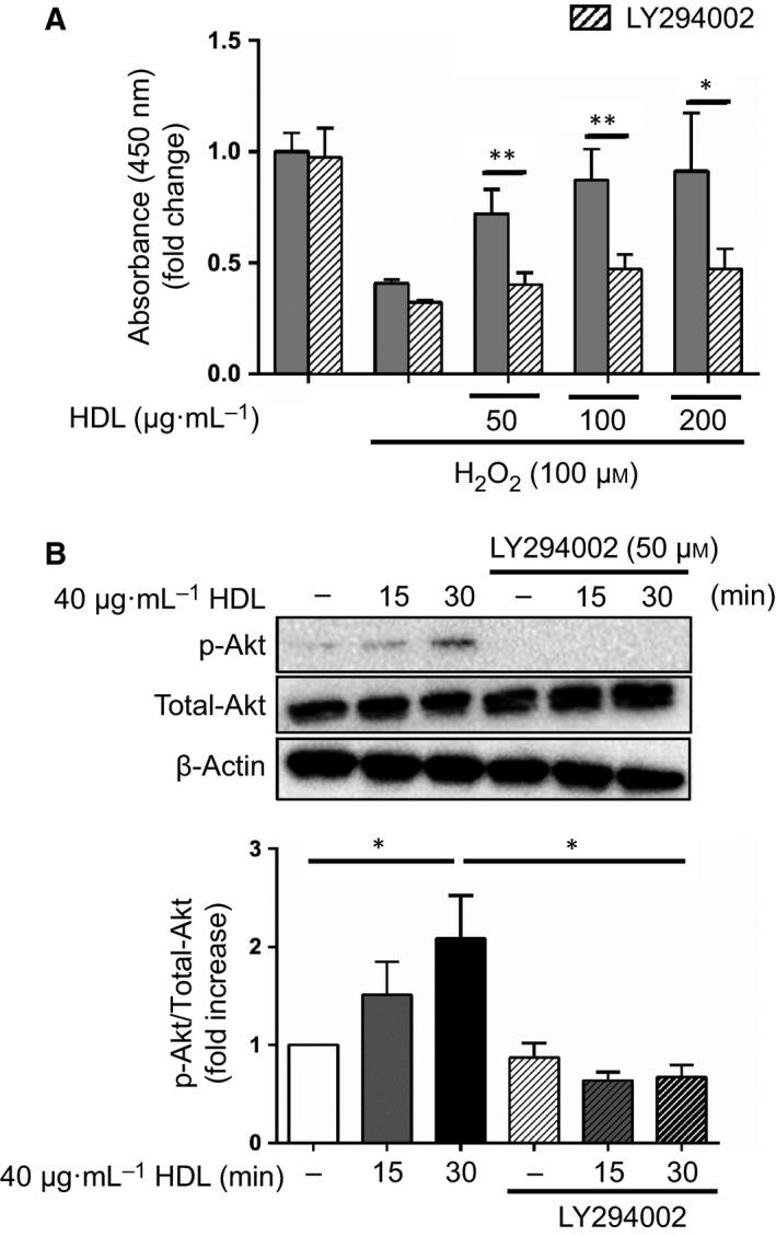 https://cdn.ncbi.nlm.nih.gov/pmc/blobs/bf14/5586351/99ae4d886a4d/FEB4-7-1402-g002.jpg