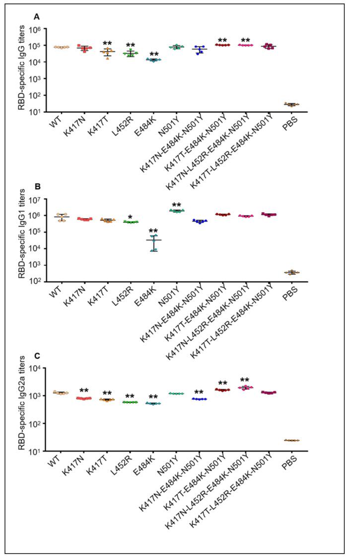 https://cdn.ncbi.nlm.nih.gov/pmc/blobs/bf14/8705015/d3aad0a966d3/vaccines-09-01383-g003.jpg