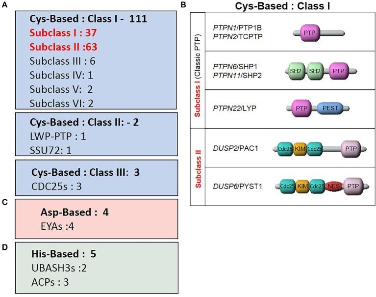 https://cdn.ncbi.nlm.nih.gov/pmc/blobs/bf17/6220082/9b2b0e64b063/fimmu-09-02504-g0003.jpg