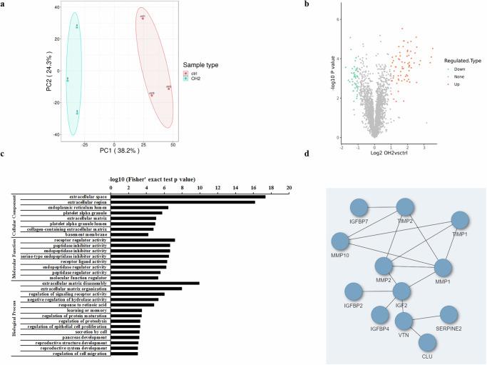 https://cdn.ncbi.nlm.nih.gov/pmc/blobs/bf18/12304221/06d42b643ad5/42003_2025_8520_Fig2_HTML.jpg