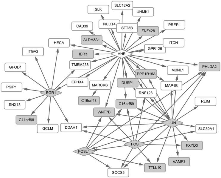 https://cdn.ncbi.nlm.nih.gov/pmc/blobs/bf1a/6171422/58e1969bced0/IPHB_A_1493610_F0002_B.jpg