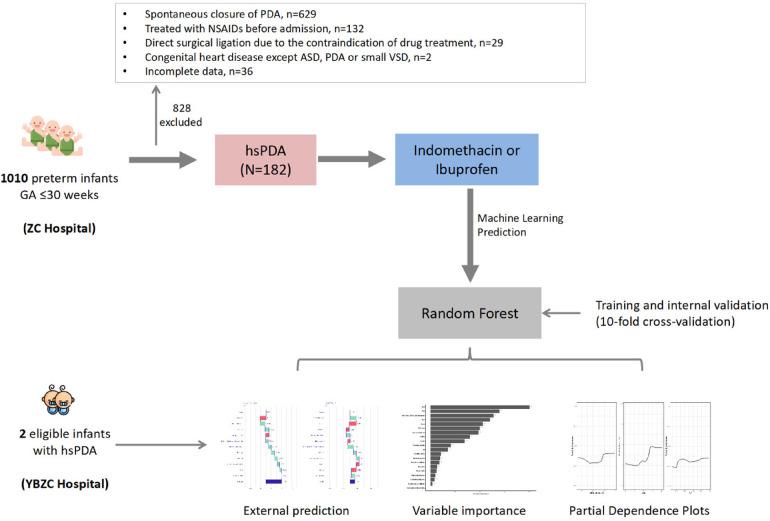 https://cdn.ncbi.nlm.nih.gov/pmc/blobs/bf1b/10110971/c57833998b65/fped-11-1097950-g001.jpg