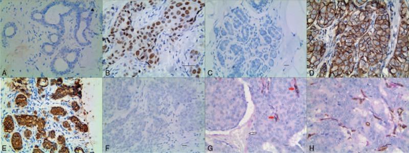 https://cdn.ncbi.nlm.nih.gov/pmc/blobs/bf1b/6494285/06555db40fe2/medi-98-e15232-g002.jpg