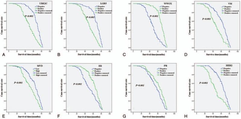 https://cdn.ncbi.nlm.nih.gov/pmc/blobs/bf1b/6494285/4f99578a9f2c/medi-98-e15232-g005.jpg
