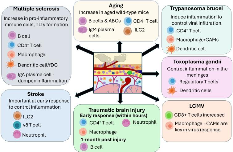 https://cdn.ncbi.nlm.nih.gov/pmc/blobs/bf1f/11813769/baf374c72319/fimmu-16-1531068-g003.jpg