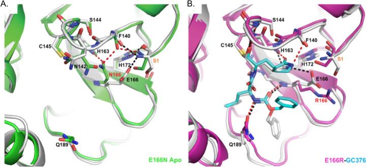 https://cdn.ncbi.nlm.nih.gov/pmc/blobs/bf21/10499260/80dea4c93a13/ppat.1011592.g004.jpg