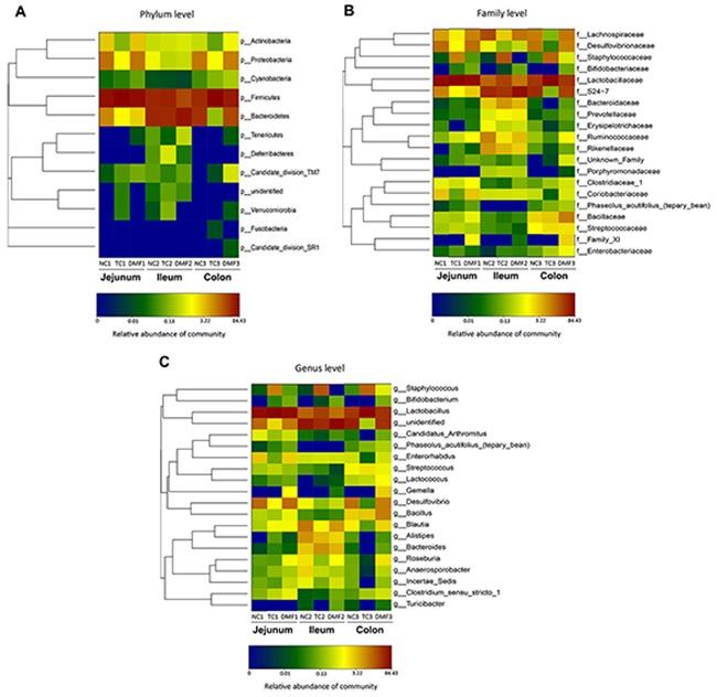https://cdn.ncbi.nlm.nih.gov/pmc/blobs/bf21/5546506/9bdaf4d4231b/oncotarget-08-44625-g005.jpg