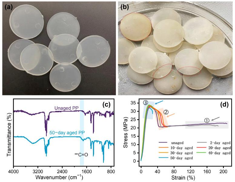 https://cdn.ncbi.nlm.nih.gov/pmc/blobs/bf23/11902415/c74b074d8386/polymers-17-00700-g001.jpg